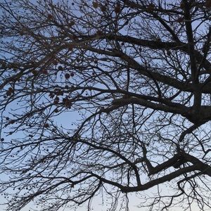 Meet your Posher, Tingting